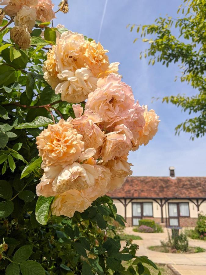 Kingfisher Barn B&B Abingdon-on-Thames Esterno foto