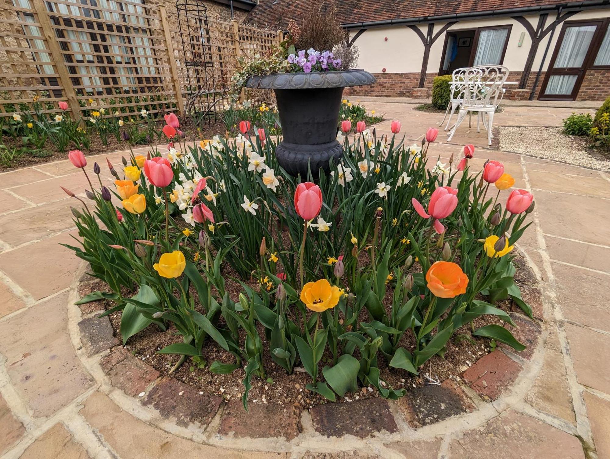 Kingfisher Barn B&B Abingdon-on-Thames Esterno foto